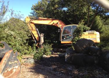 Vegetation mgmt